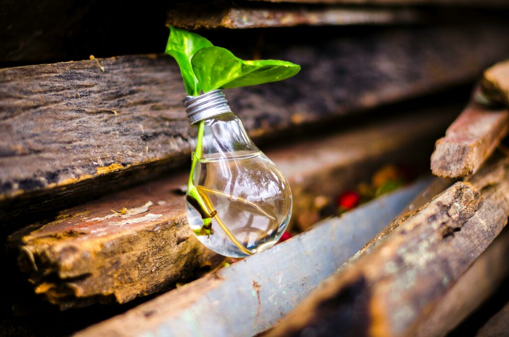 A light bulb filled with water and a plant symbolizes creativity and innovation in reuse.